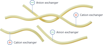 Structure of the ion-exchange fibers