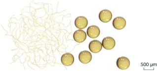 Comparison of the fibrous and resin ion exchangers